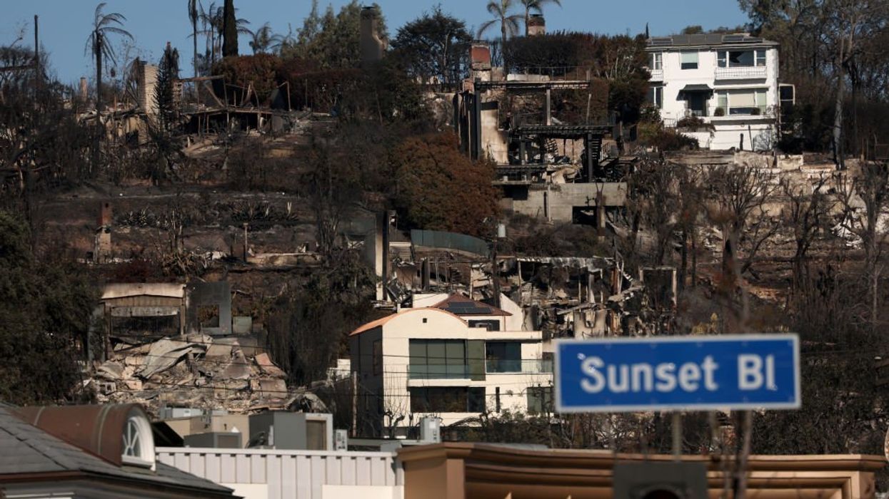 Meet the man who fought off the Los Angeles wildfires with a garden hose